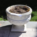 Cement Planter On Square Base