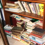 Lot Of Assorted Books & Novels