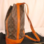 Louis Vuitton Backpack Handbag