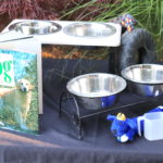 Stainless Steel Dog Bowls With Stands And Dog Book