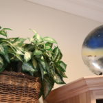 Faux plant and a nautical decorative plate