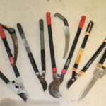 Lot Of Garden Shears And Clippers And Hand Saws