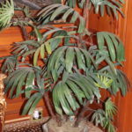 Decorative Faux Plant In Ceramic Planter