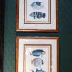 Set Of Hand Colored Fish Prints In Double Matted Frame Bright Colors