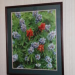Framed Floral Still Life Photograph Beautiful Flowers Measures 37 " L X 31" W