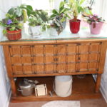 Wood Bar Cabinet With Assorted Decorative Plants, Gucci Coasters And Ice Buckets