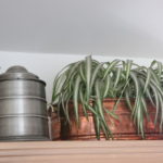Large Beer Stein Ice Bucket With Copper Planter