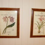 Pair Of Library New York Botanical Garden Prints In Wood & Gold Frame