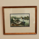 Set Of 3 Bird Prints In Iridescent Frames