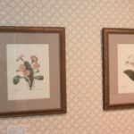 Set Of 4 Botanical Prints In Gilded Frames