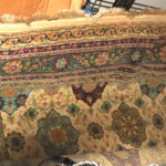Large Area Rug By Shaw Rugs Made In USA Measures Approximately 9 ½ Ft W X 13 Ft L