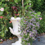 Large Cement Trophy Urn Planter With Mix Of Perennial & Annual Flowers