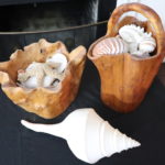 Pair Of Carved Wood Root With Unique Shells