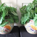 Pair Of “Florentia” Colorful Hand Painted Large Planters