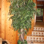 Large Faux Ficus Tree In Bronze Colored Pot