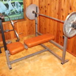 Weight Tree & Continental Work Out Bench With Olympic Weight Set