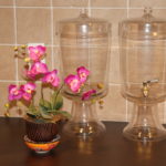 Glass canisters and orchid plant